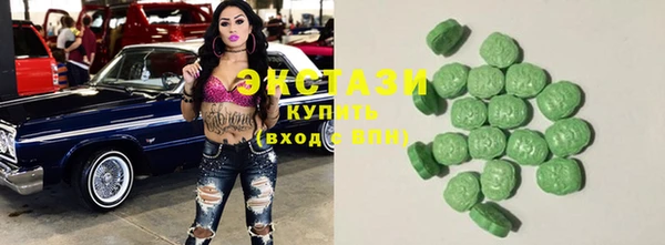 индика Зеленодольск