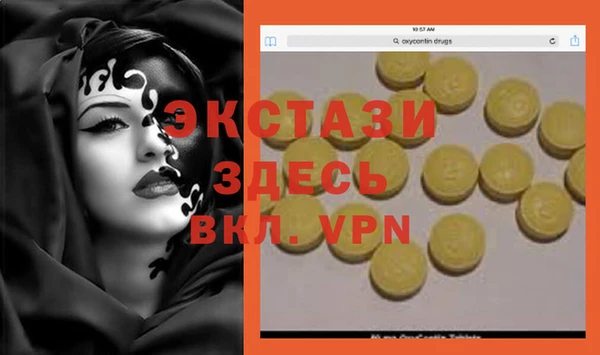 индика Зеленодольск
