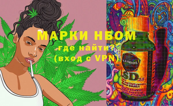индика Зеленодольск
