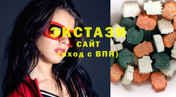 индика Зеленодольск