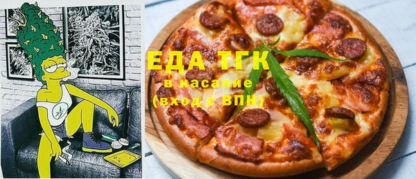 индика Зеленодольск