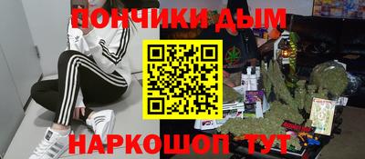 индика Камышлов