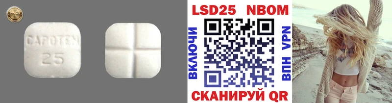mega ONION  Электрогорск  ЛСД экстази ecstasy 