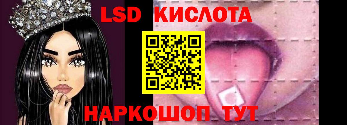 МЕФ Электрогорск