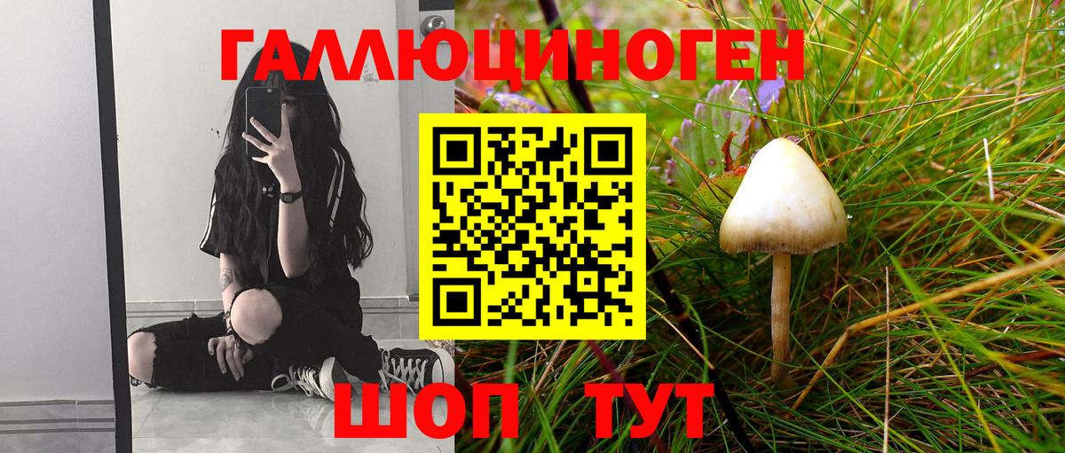 Марихуана  КОКАИН  Электрогорск  A PVP СОЛЬ кристаллы  ГАШИШ  МЕФ  НБОМе  Экстази  Вход с VPN  ГАШИШ  Меф кристаллы 