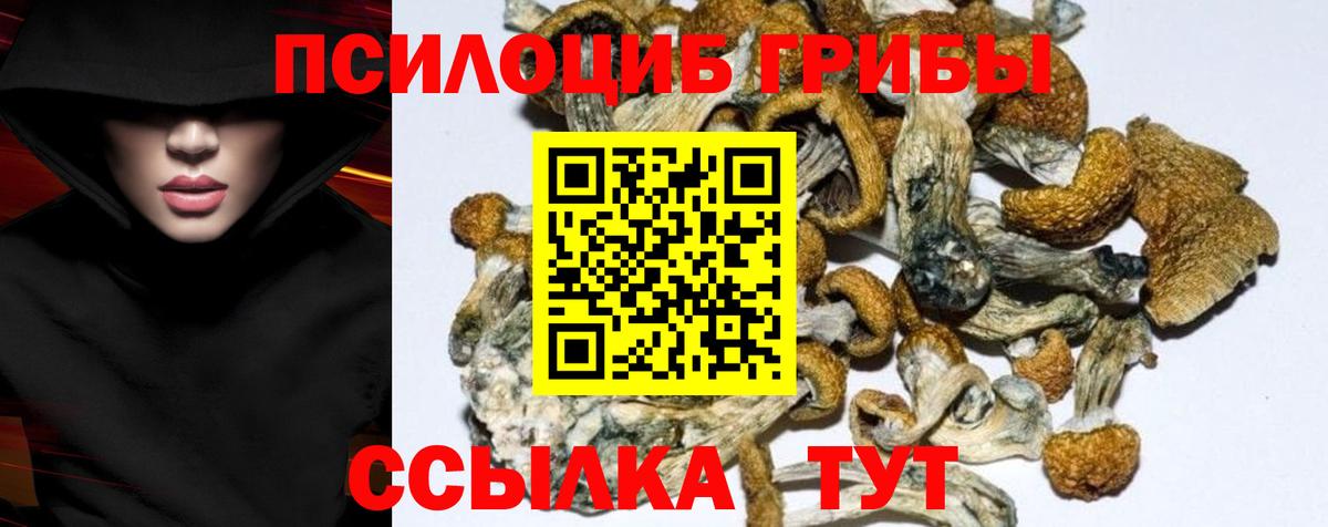 Псилоцибиновые грибы мухоморы Электрогорск