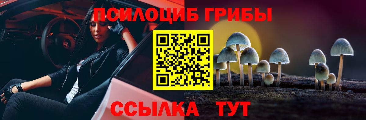 Псилоцибиновые грибы мухоморы  Галлюциногенные грибы GOLDEN TEACHER  Вход с VPN  Электрогорск 