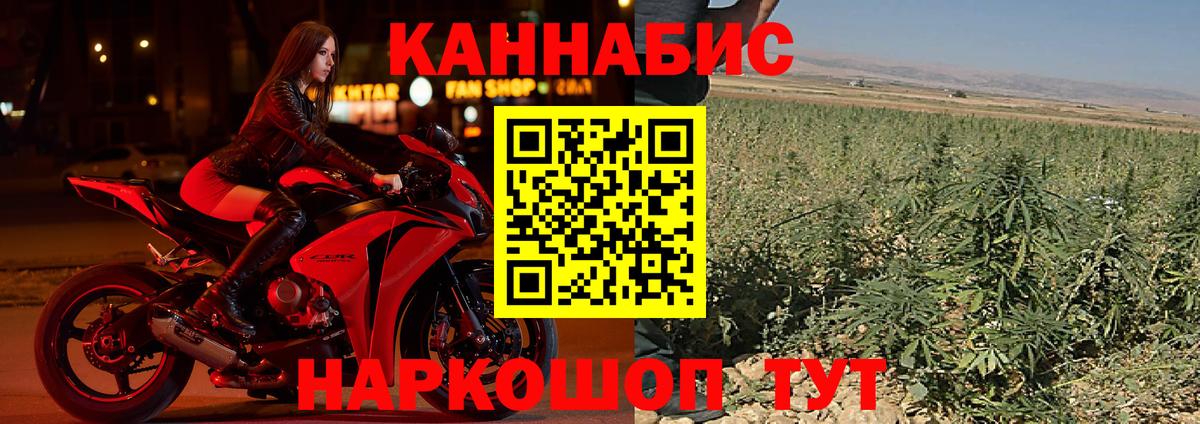 Канабис семена  Канабис конопля  Бошки марихуана White Widow  Электрогорск  Вход с VPN 